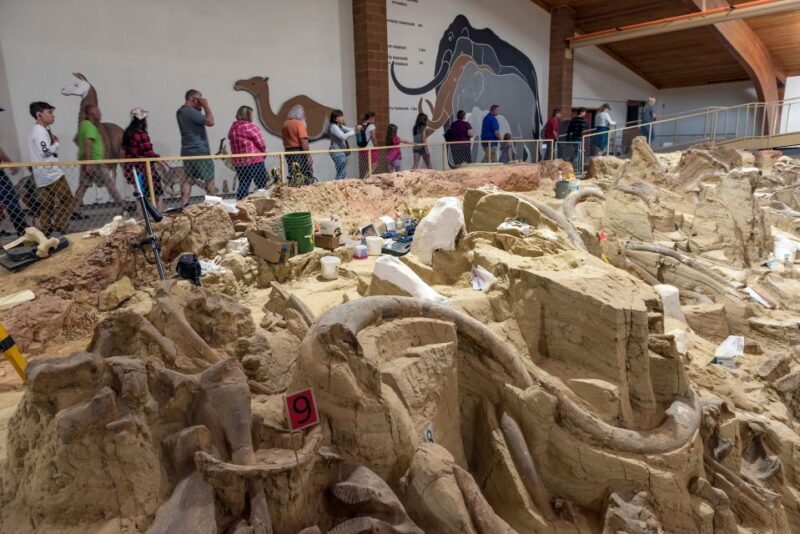 Buffalo Jeep Safari & Mammoth Site Tour - Final Thoughts: Who Should Book This Tour?
