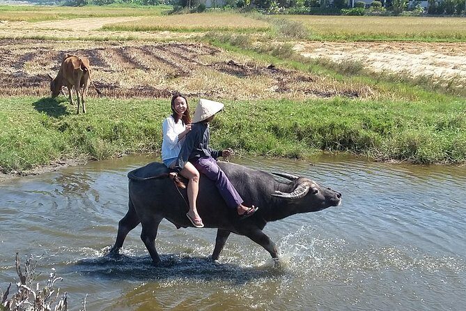 Buffalo Riding and basket boat tour from Da Nang/ Hoi An - The Itinerary in Detail: What You Can Expect