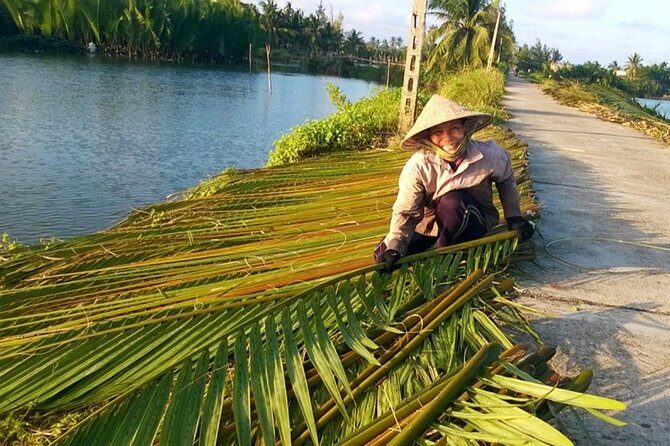 Buffalo Riding and basket boat tour from Da Nang/ Hoi An - The Sum Up: Who Should Consider This Tour?