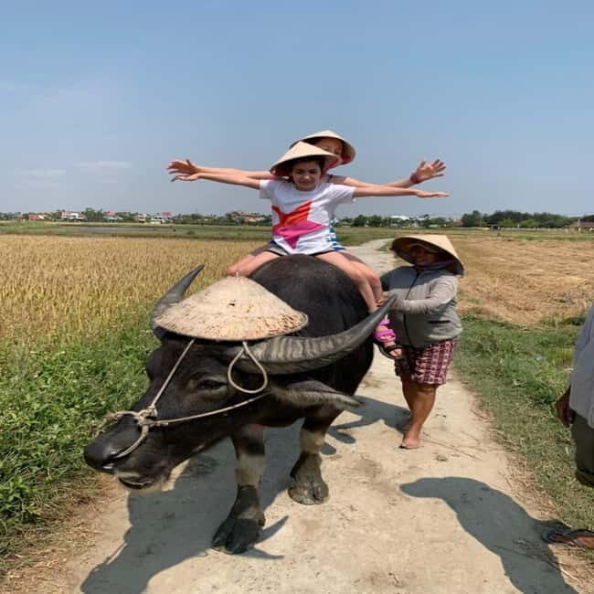 BUFFALO RIDING -BASKET BOAT & BIKE TOUR-HOI AN - Authentic Experiences and Cultural Insights
