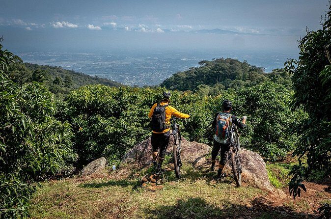 Buffalo Soldier Full Day Mountain Biking Tour Chiang Mai - What the Reviews Say