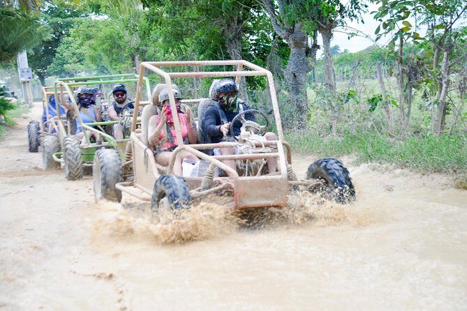 Buggies Half Day Experience and Cenote - Key Points