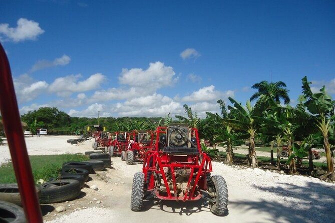 Buggies Half Day Experience and Cenote - The Sum Up