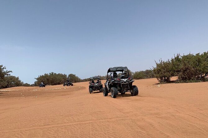 Buggy Adventure Half Day Experience - Key Points
