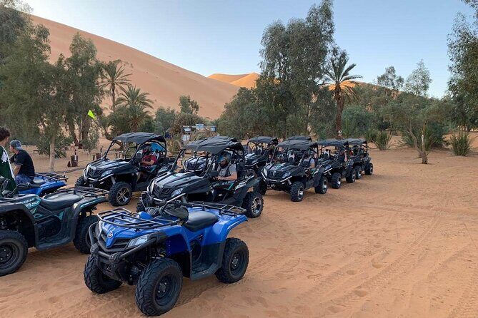 Buggy Adventure Half Day Experience - What to Keep in Mind