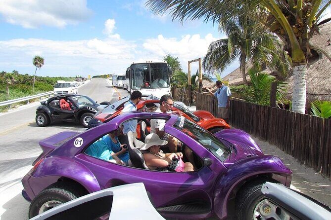 Buggy Adventure in Cozumel + Transportation from Cancún - Who Will Love This Experience?