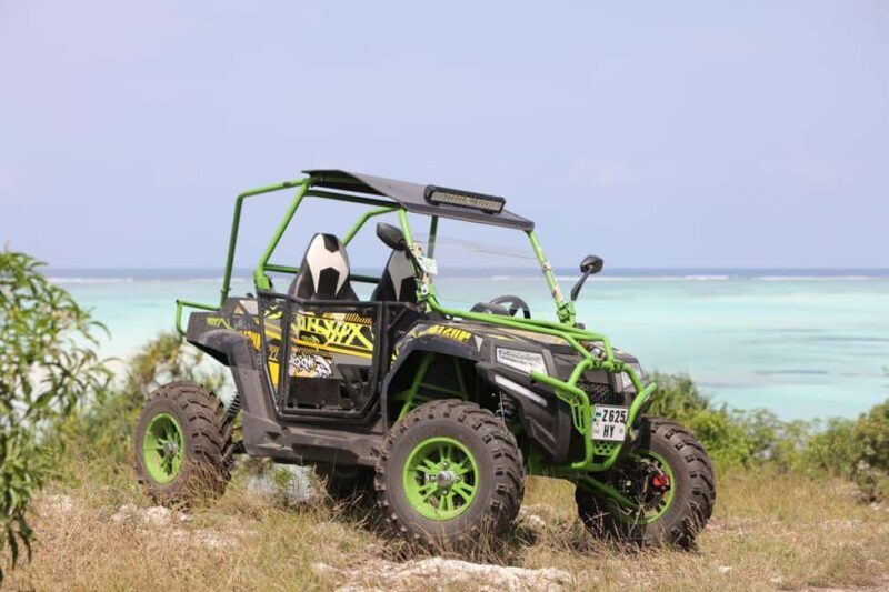 Buggy Adventure with Lunch, Paje Beach, Dinner at he Rock - A Tasty Organic Lunch at Zanzibar Spice Farm