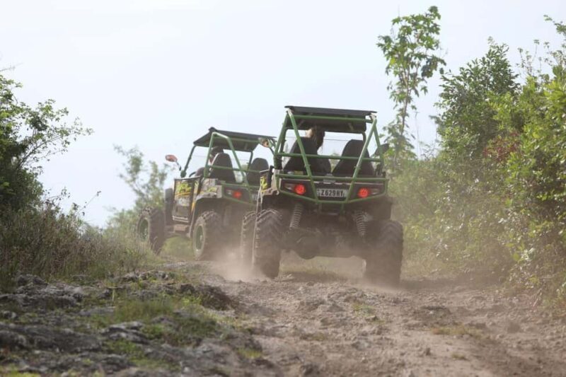 Buggy Adventure with Lunch, Paje Beach, Dinner at he Rock - Who Will Love This Tour?