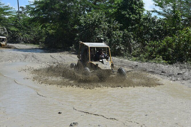 Buggy Excursion in Puerto Plata - Authenticity and Real Experiences