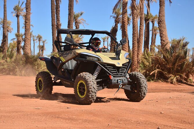 Buggy excursion to the palm grove Marrakech - Key Points