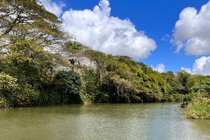 Buggy Expedition, Norwegian SKY Cruise Passenger from La Romana - The Sum Up