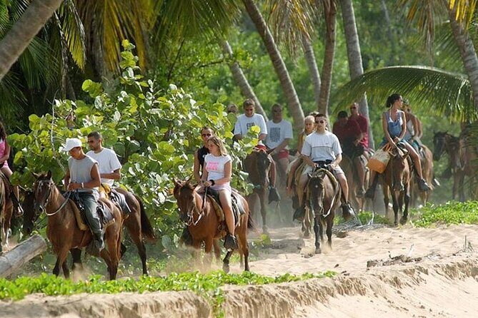 Buggy Horses and Zip Line from Punta Cana with Lunch Included - An In-depth Look at the Tour Experience