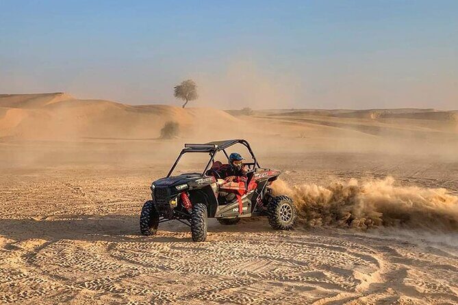 Buggy Ride Dubai & Dubai Desert Safari & Camel Ride with pickup - Who Will Love This Tour?