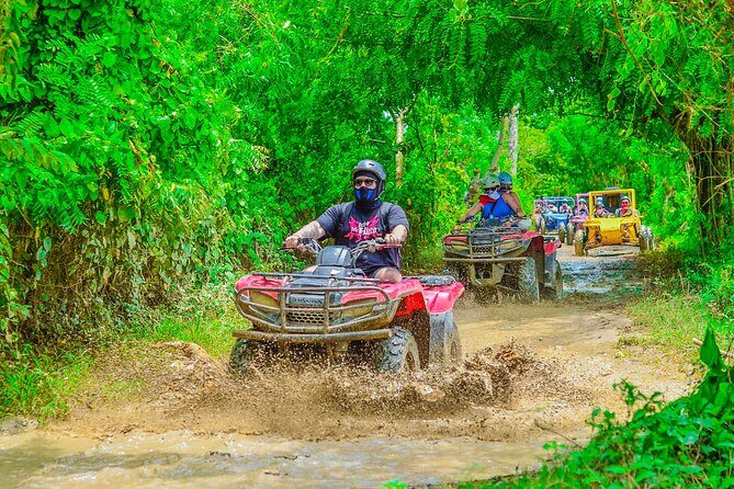 Buggy Ride Into the jungle with cave coffee & chocolate tasting - Transportation, Duration, and Group Size