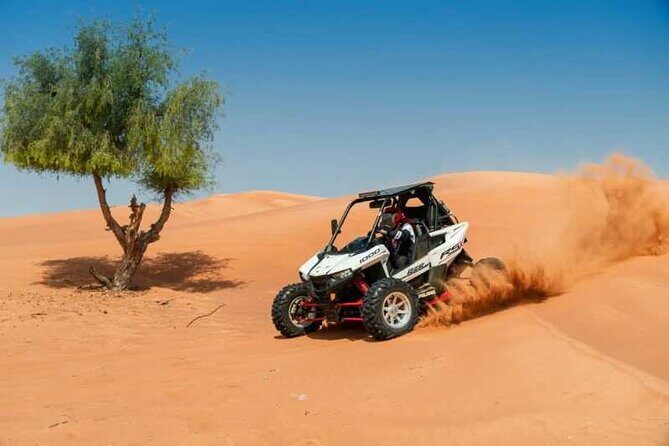 Buggy Safari - Sharm El Sheikh - Introduction: A Thrilling Bedouin Desert Adventure in Sharm El Sheikh