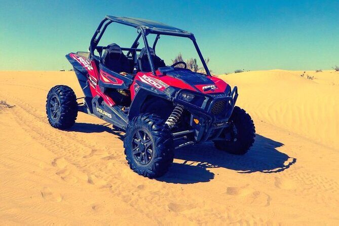 Buggy Safari - Sharm El Sheikh - Who Should Consider This Tour?
