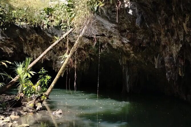 Buggy Tour, ATV Ride and Visit to Jade cavern in Cozumel - Who Will Love This Tour?