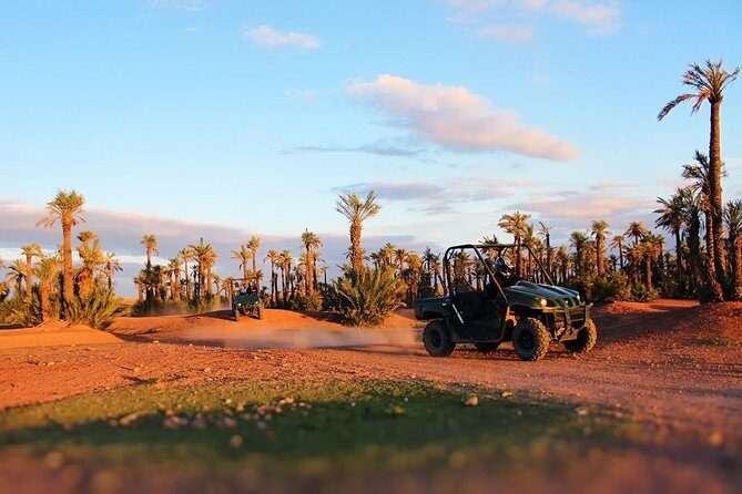 Buggy Tour in Marrakech Palm Grove - An In-Depth Look at the Marrakech Palm Grove Buggy Tour