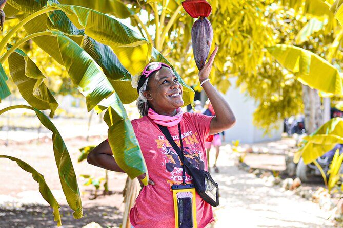 Buggy Tour Punta Cana: MagicalCaves ,Dream Beaches & Culture - The Sum Up