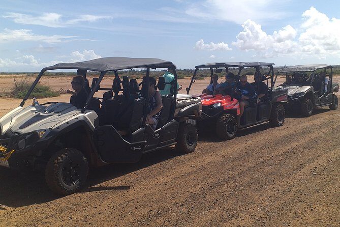 Buggy Tours in Curacao - Key Points
