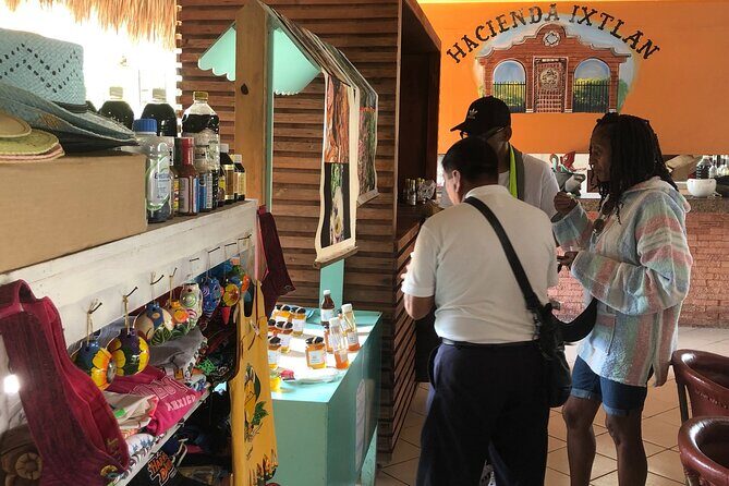 Buggy Trip in Cozumel Island with transfer from Riviera Maya - What to Expect from the Itinerary