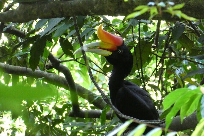 Bukit lawang 2 Day 1 Night with camping - The Experience in Detail