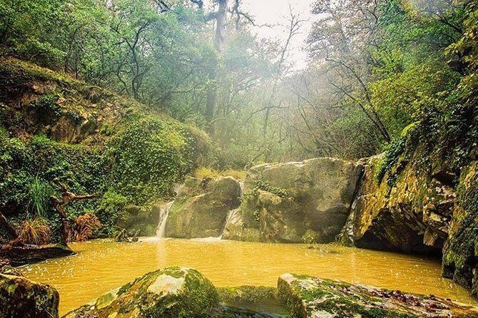 Bulla Regia and Beni Mtir Cascade Daytrip from Tunis - An In-Depth Look at the Itinerary