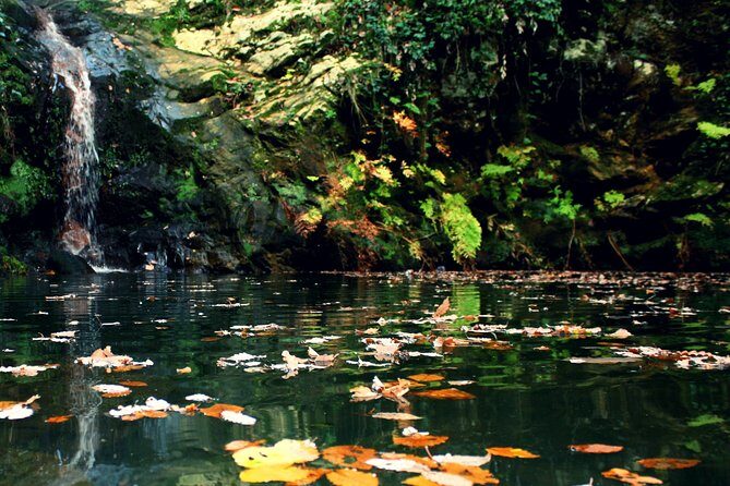 Bulla Regia and Beni Mtir Cascade Daytrip from Tunis - Final Thoughts: Who Will Love This Tour?