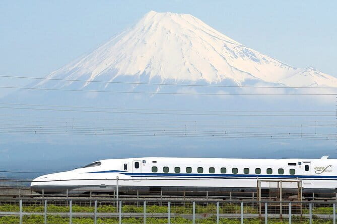 Bullet Train Experience & Mishima Shrine Private Tour from Tokyo - Discover the Japan of High-Speed Trains and Historic Shrines: A Review of the Bullet Train Experience & Mishima Shrine Tour