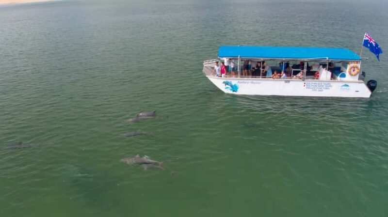 Bunbury: Swim with Dolphins Tour - Final Thoughts