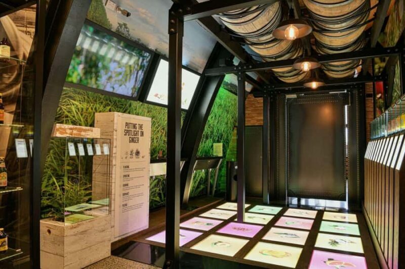 Bundaberg: Brew Tasting and Self-Guided Gallery Tour - The Brewery and Gallery Layout