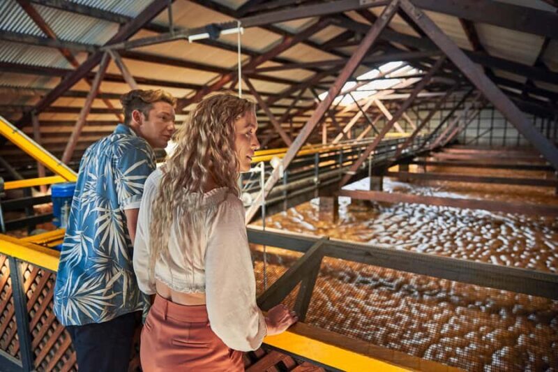 Bundaberg; Bundaberg Rum Distillery Tour and Tasting - A Practical Guide to the Bundaberg Rum Distillery Tour