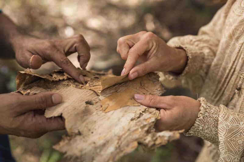 Bundaberg: Half Day Indigenous Experience with Morning Tea - Who Will Benefit Most