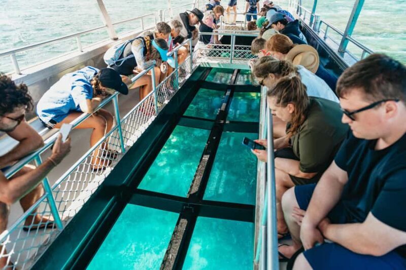 Bundaberg: Lady Musgrave Island and Great Barrier Reef Tour - Key Points