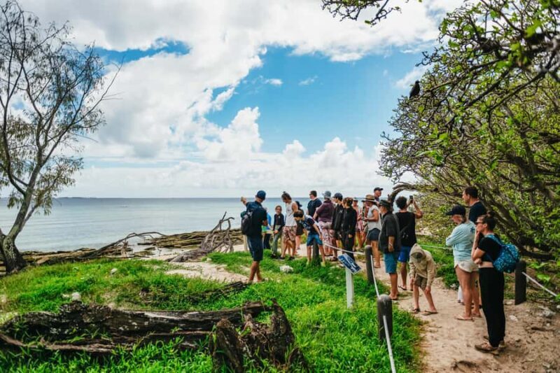 Bundaberg: Lady Musgrave Island and Great Barrier Reef Tour - A Closer Look at the Itinerary