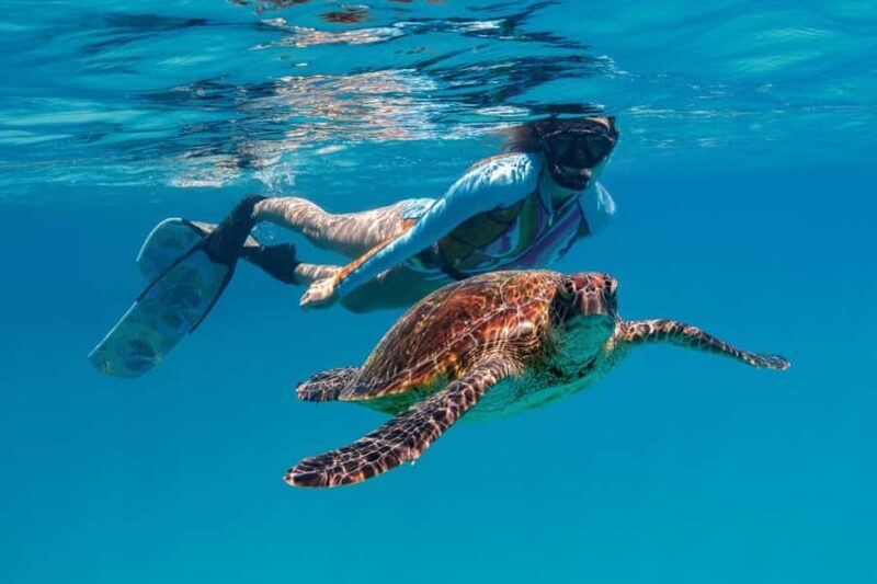 Bundaberg: Lady Musgrave Island and Great Barrier Reef Tour - Final Thoughts