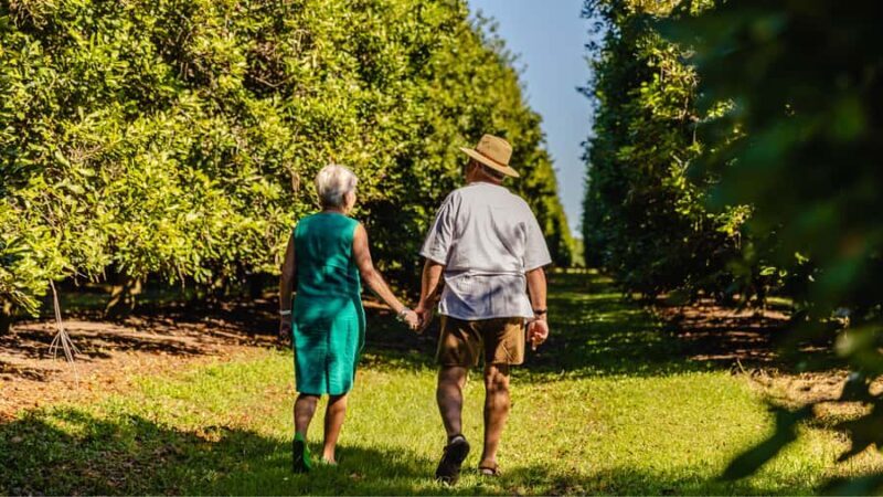 Bundaberg: Macadamia Orchard Tour - An In-Depth Look at the Bundaberg Macadamia Orchard Tour