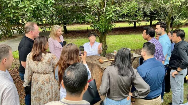 Bundaberg: Macadamia Orchard Tour - Why This Tour Is a Solid Choice