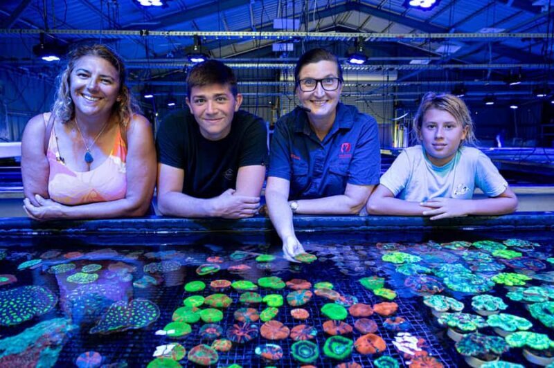 Bundaberg: Monsoon Aquatics Coral Farm Guided Tour - What Is the Monsoon Aquatics Coral Farm Guided Tour?