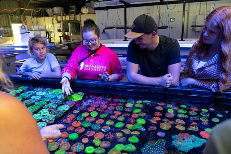 Bundaberg: Monsoon Aquatics Coral Farm Guided Tour - What to Expect During the Tour