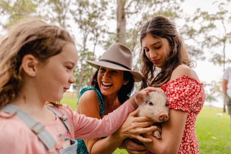 Bundaberg: Splitters Farm Guided Tour - How to Make the Most of Your Visit