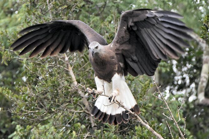 Bundala Birding Paradise - All Inclusive Tour - An In-Depth Look at the Bundala Birding Paradise Tour