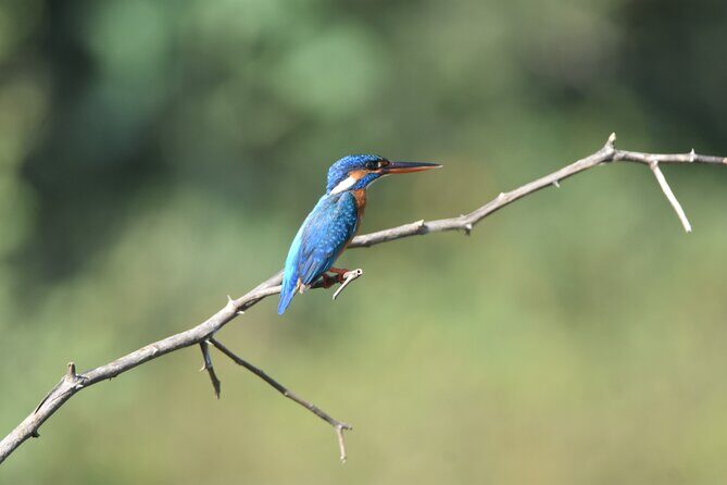 Bundala Birding Paradise - All Inclusive Tour - Frequently Asked Questions