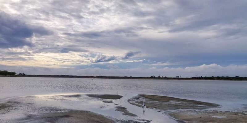 Bundala National Park: 3-Hour Morning or Evening Safari - Pricing and Value Analysis