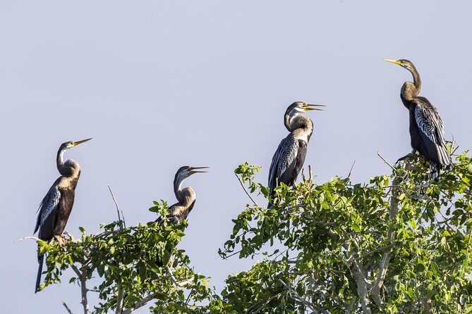 Bundala National Park Private Safari - The Experience: A Closer Look