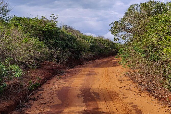Bundala National Park Private Safari - Who Should Consider This Tour?