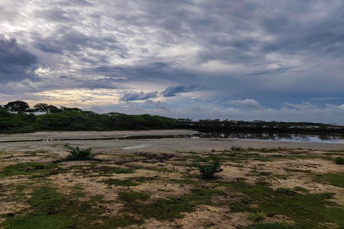 Bundala National Park Private Safari - In The Sum Up