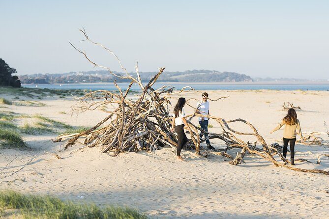 Bunurong Coast and Penguin Parade Private Tour - Key Points