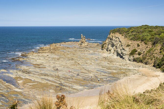 Bunurong Coast and Penguin Parade Private Tour - Transportation and Practical Details