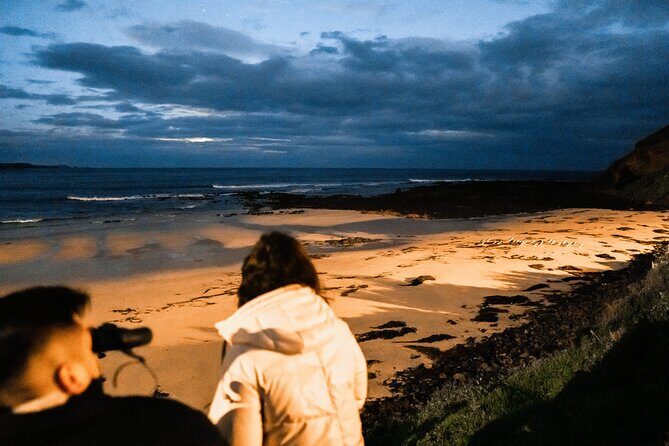 Bunurong Coast and Penguin Parade Private Tour - Our Take: Is It Worth It?